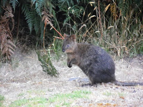 Riverside Retreat Chalets, Walpole - Accommodation Brisbane 22