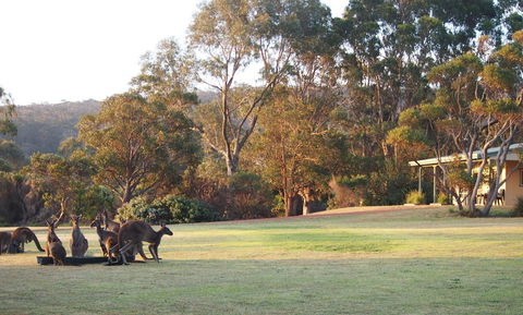 Riverside Retreat Chalets, Walpole - Accommodation Brisbane 0