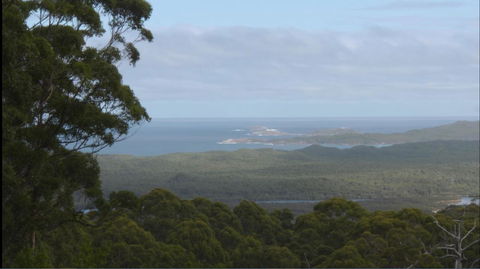 Riverside Retreat Chalets, Walpole - Accommodation Brisbane 30