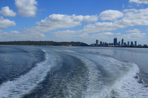 Midgard Cottage - Great Location & Close To Airport - Accommodation Brisbane 33