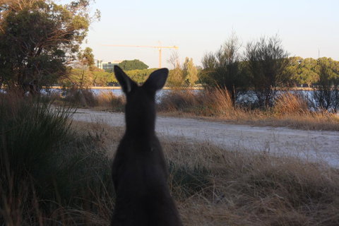 Midgard Cottage - Great Location & Close To Airport - Accommodation Brisbane 37