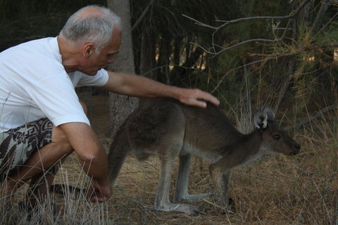 Midgard Cottage - Great Location & Close To Airport - Accommodation Brisbane 39
