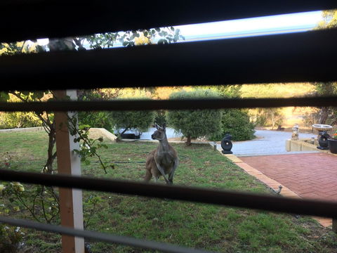 Seatrees Accommodation - Accommodation Brisbane 37