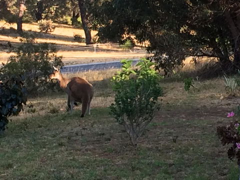 Seatrees Accommodation - Accommodation Brisbane 38