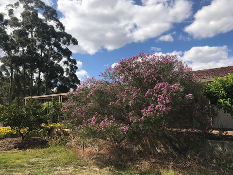 Cockburn Retreat Home æŸæ–¯æ‚ é–’æ°‘å®¿ - Accommodation Brisbane 0