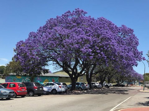 Gerring Court With Free 1 Car Bay Parking - Accommodation Brisbane 20