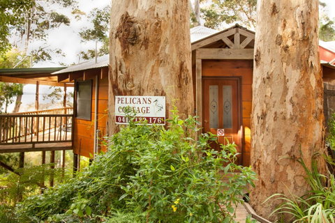 Pelicans At Denmark - Accommodation Brisbane 7