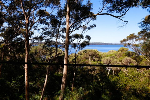 Pelicans At Denmark - Accommodation Brisbane 3