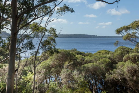 Pelicans At Denmark - Accommodation Brisbane 8