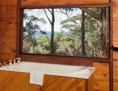 Pelicans At Denmark - Accommodation Brisbane 10