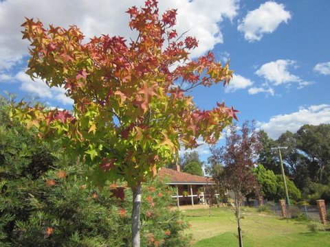 Bridgetown Valley Lodge - Accommodation Brisbane 40