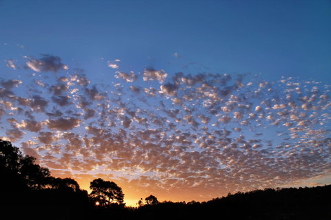 Bridgetown Valley Lodge - Accommodation Brisbane 6