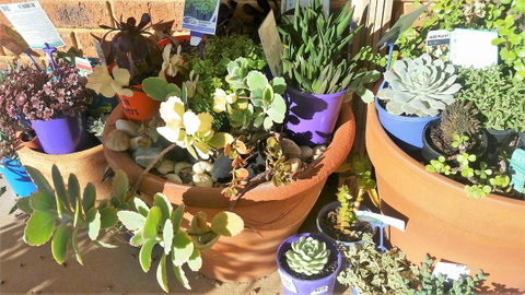 Quest Yelverton Kalgoorlie - Accommodation Brisbane 11