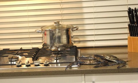 South Yunderup Holiday Rental - Accommodation Brisbane 12