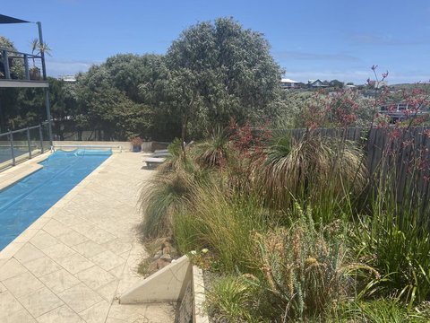 Rockpool - Accommodation Brisbane 26