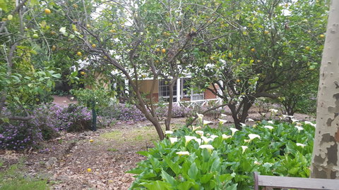 Two Sisters Chalets - Accommodation Brisbane 15