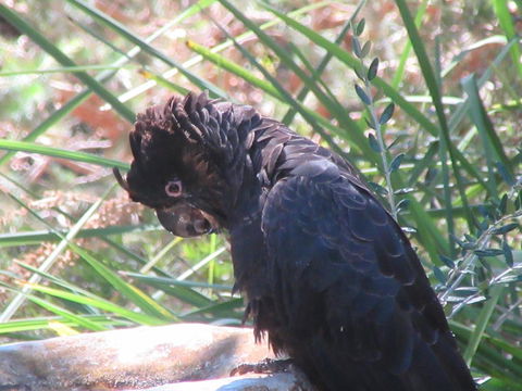 Di's Cabin In Dwellingup - Accommodation Brisbane 24