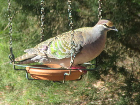 Di's Cabin In Dwellingup - Accommodation Brisbane 25