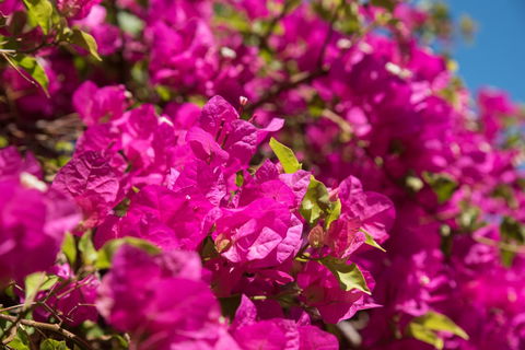 Jurien Bay Hotel Motel - Accommodation Brisbane 3