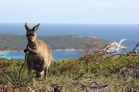 Bremer Bay B&B - Accommodation Brisbane 30