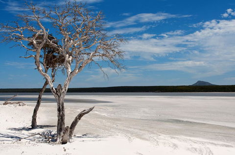 Bremer Bay B&B - Accommodation Brisbane 33