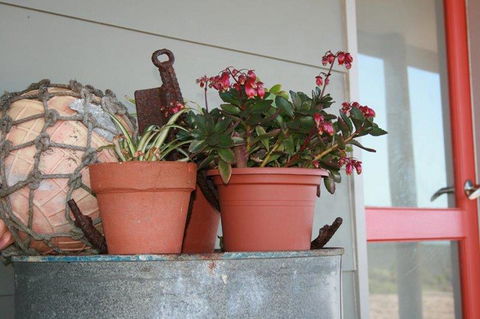 Bremer Bay B&B - Accommodation Brisbane 28