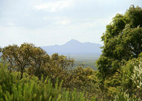 Bremer Bay B&B - Accommodation Brisbane 32