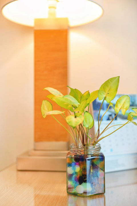 Bunbury Hotel Koombana Bay - Accommodation Brisbane 7