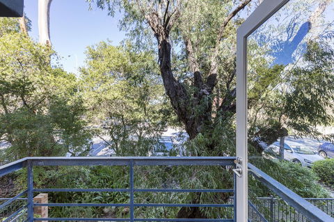 Cottesloe Tree Top Studio - Executive Escapes - Accommodation Brisbane 10