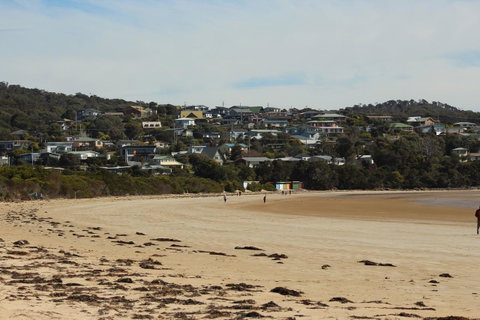 Tamar Solar Home - Accommodation Brisbane 18