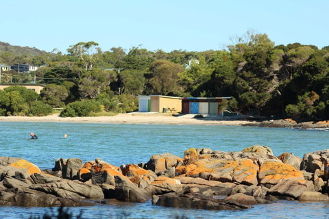 Tamar Solar Home - Accommodation Brisbane 25
