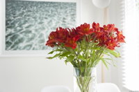 Book Kingston Beach Accommodation Vacations Accommodation Brisbane Accommodation Brisbane
