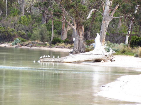The Boat Shed - Accommodation Brisbane 12