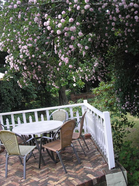 Anabel\'s Of Scottsdale - Accommodation Brisbane 33