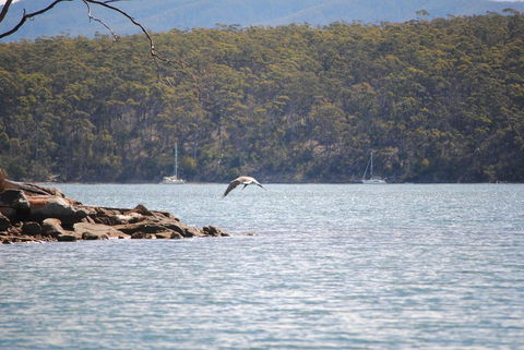 A Slice Of Paradise - Accommodation Brisbane 18