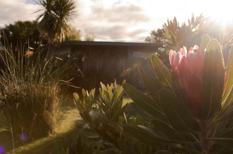 Eagle Peaks At Freycinet - Accommodation Brisbane 8