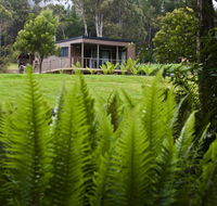 Tyenna River Cottage - Accommodation Brisbane