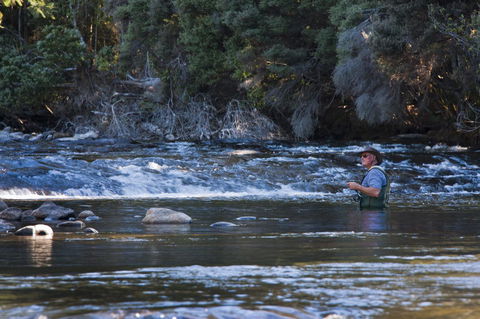 Tyenna River Cottages - Accommodation Brisbane 21