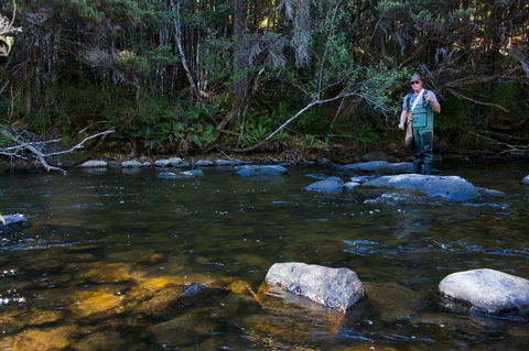Tyenna River Cottages - Accommodation Brisbane 2