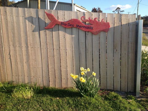 Mermaids Of Bicheno - Accommodation Brisbane 17