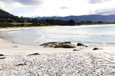 Mermaids Of Bicheno - Accommodation Brisbane 0