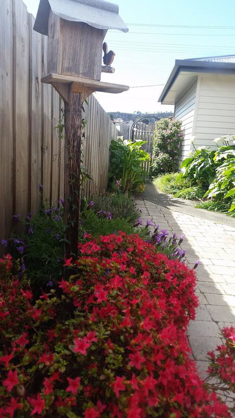 Driftwood-Cottage - Accommodation Brisbane 16