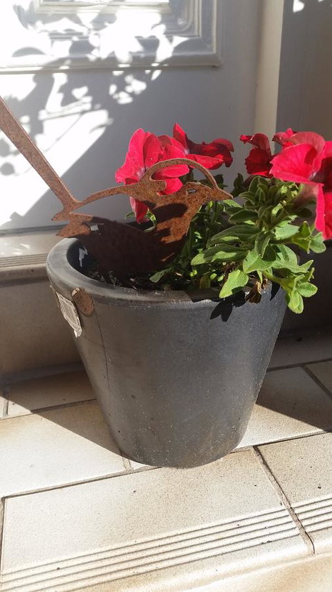 Driftwood-Cottage - Accommodation Brisbane 36