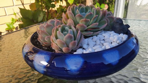 Driftwood-Cottage - Accommodation Brisbane 37