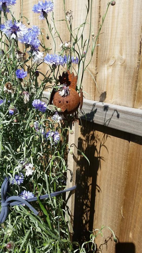 Driftwood-Cottage - Accommodation Brisbane 26