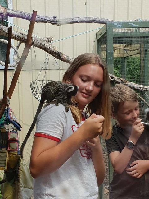 Driftwood-Cottage - Accommodation Brisbane 43