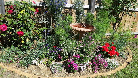 Driftwood-Cottage - Accommodation Brisbane 25