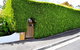 Belton Apartments-Hedge Cottage - thumb 13