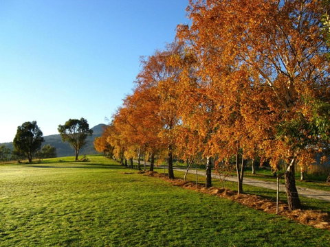 Plovers Ridge Country Retreat - Accommodation Brisbane 8