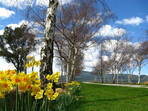 Plovers Ridge Country Retreat - Accommodation Brisbane 4